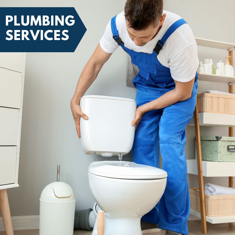Plumbing Company in New Virginia, IA
